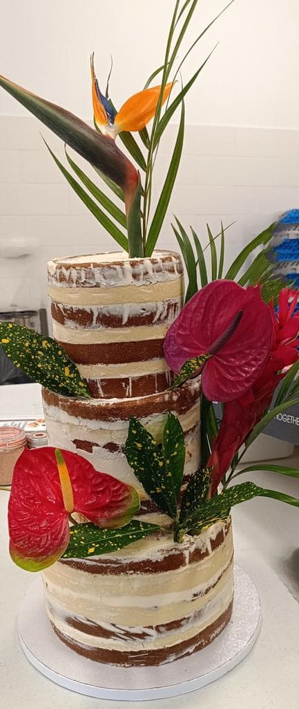 Baptême, Anniversaire & Fête de Famille